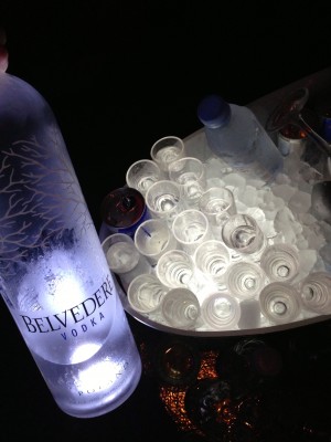 Belvedere-Shots