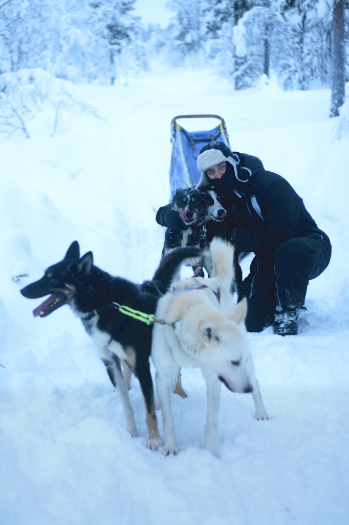 From front-to-back, left-to-right: Nulato, Magu, Volvo & Van